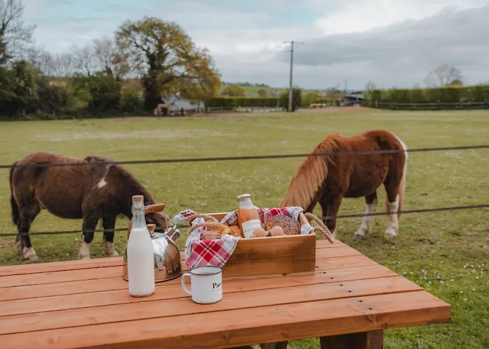 بيت للعطل Parcel Tiny House I Pommiers